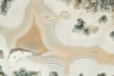 Polished Berber Agate Section - Sidi Rahal, Morocco #323996-1